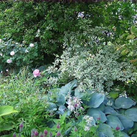 皮拉Il Giardino Dell'Artemisia别墅 外观 照片