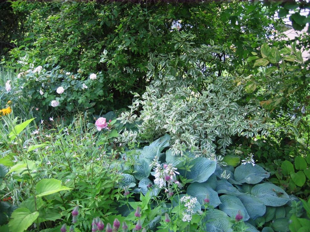 皮拉Il Giardino Dell'Artemisia别墅 外观 照片