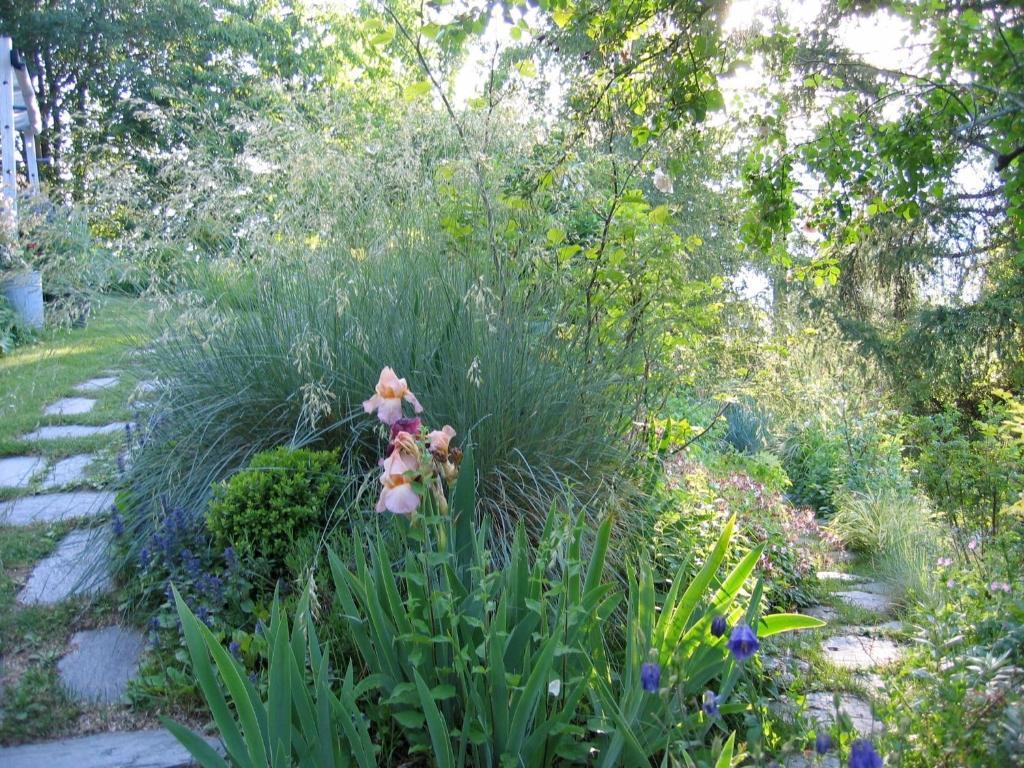 皮拉Il Giardino Dell'Artemisia别墅 外观 照片