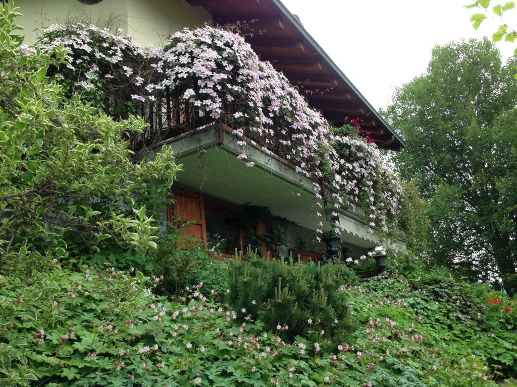 皮拉Il Giardino Dell'Artemisia别墅 外观 照片