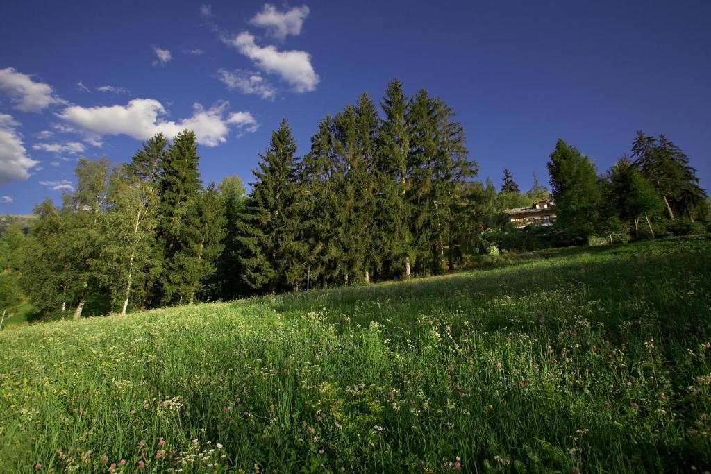 皮拉Il Giardino Dell'Artemisia别墅 外观 照片